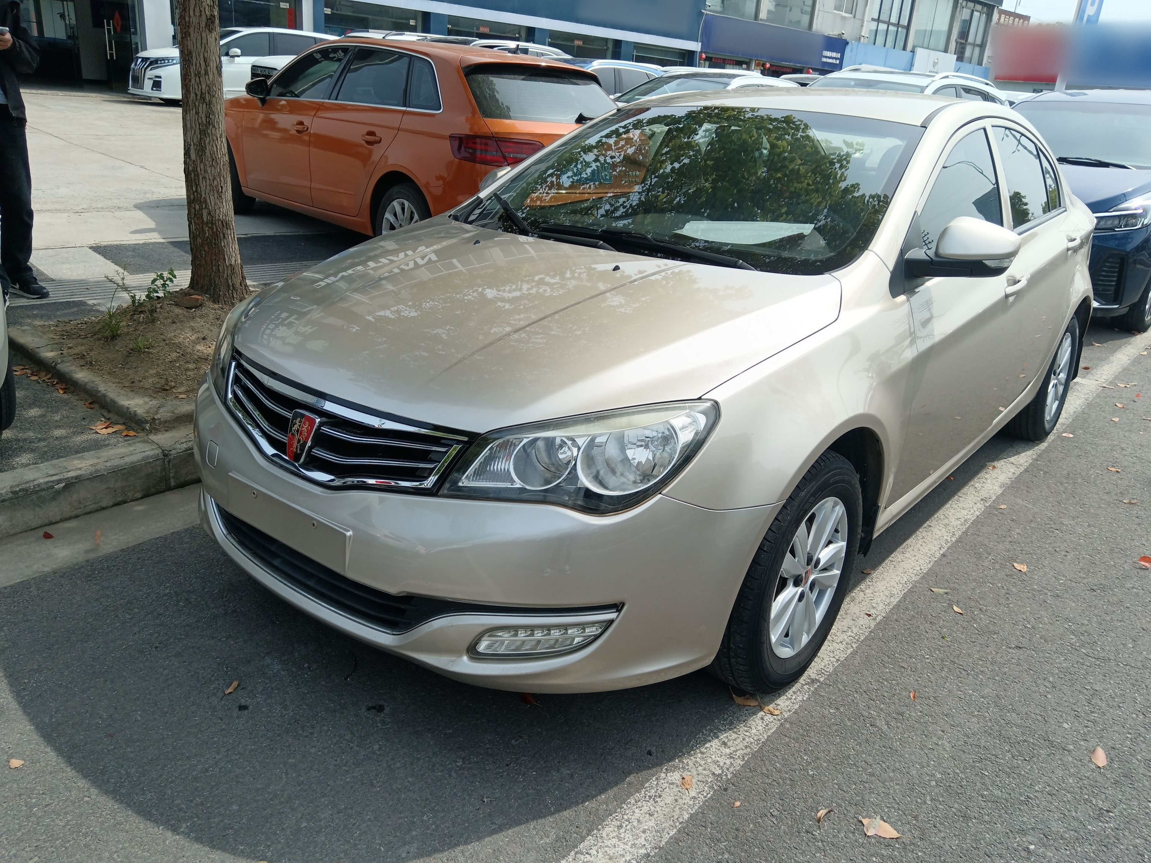 Parte inferior delantera