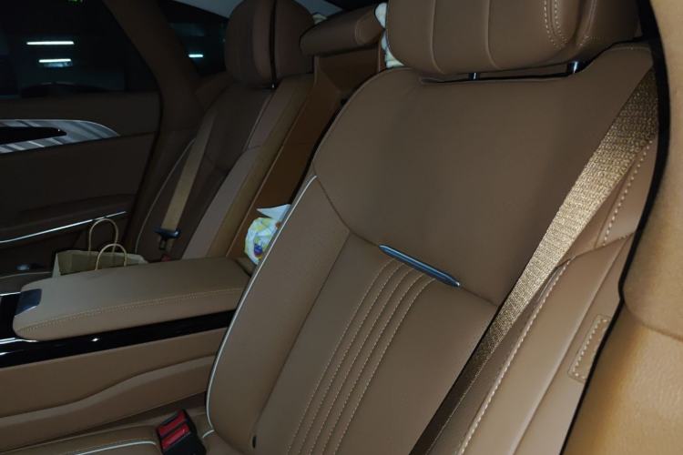 Used Hongqi H9 2020 2.0T Smart Connect Flagship Edition Left Rear Seat