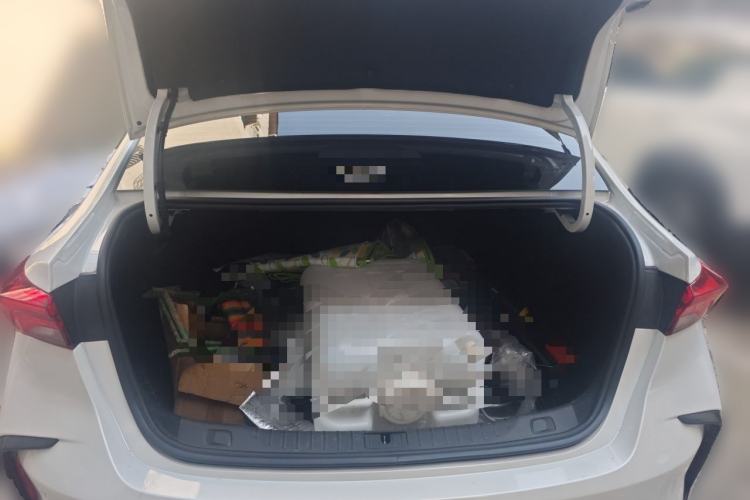 Used Buick Verano 2023 Pro GS Hunter Wind Edition
