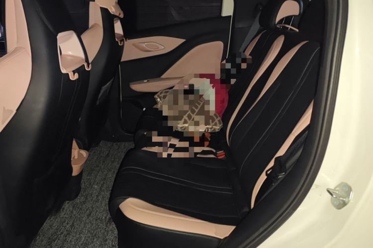 Used BYD Seagull 2025 405 km Flying Edition