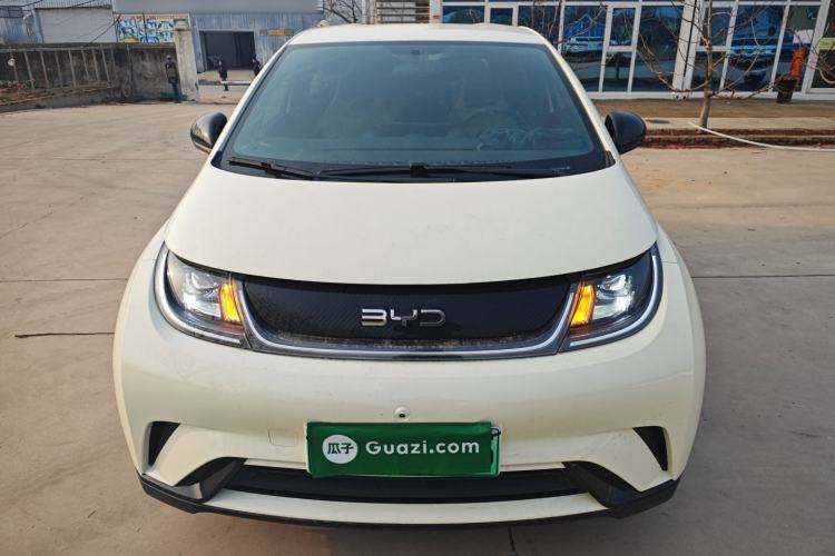 Used BYD Dolphin 2025 420km Free Edition
