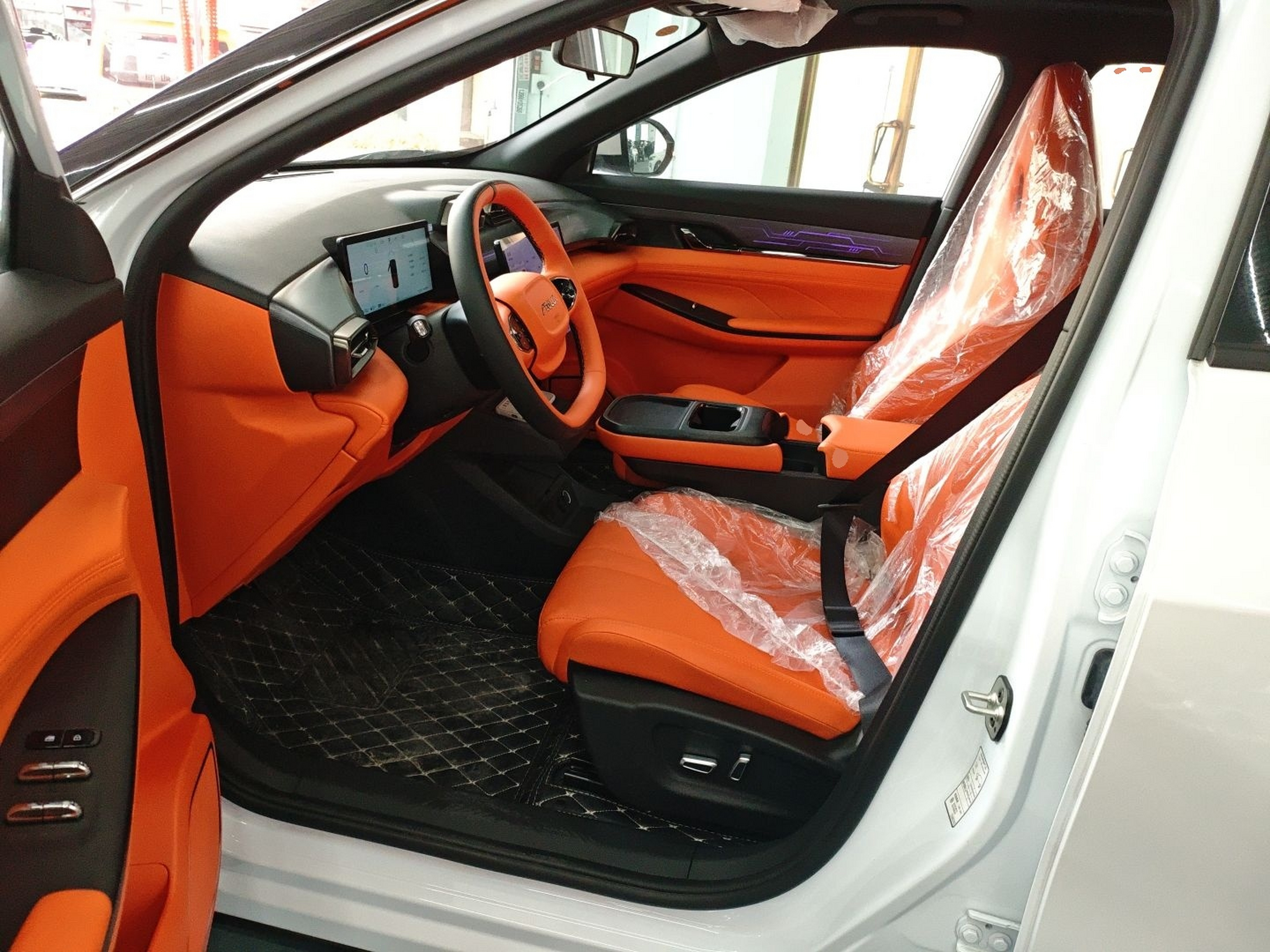 Interior delantero