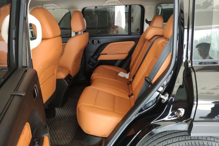 Used Haval Raptor New Energy 2024 Hi4 145 Cross-Over Edition Left Rear Seat