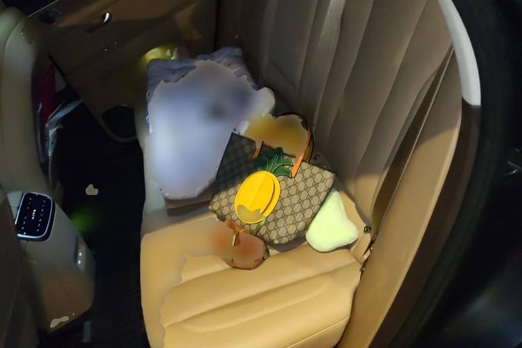 Used Hima AITO M7 2024 1.5T Rear-Drive Plus Version 5 Seats Left Rear Seat