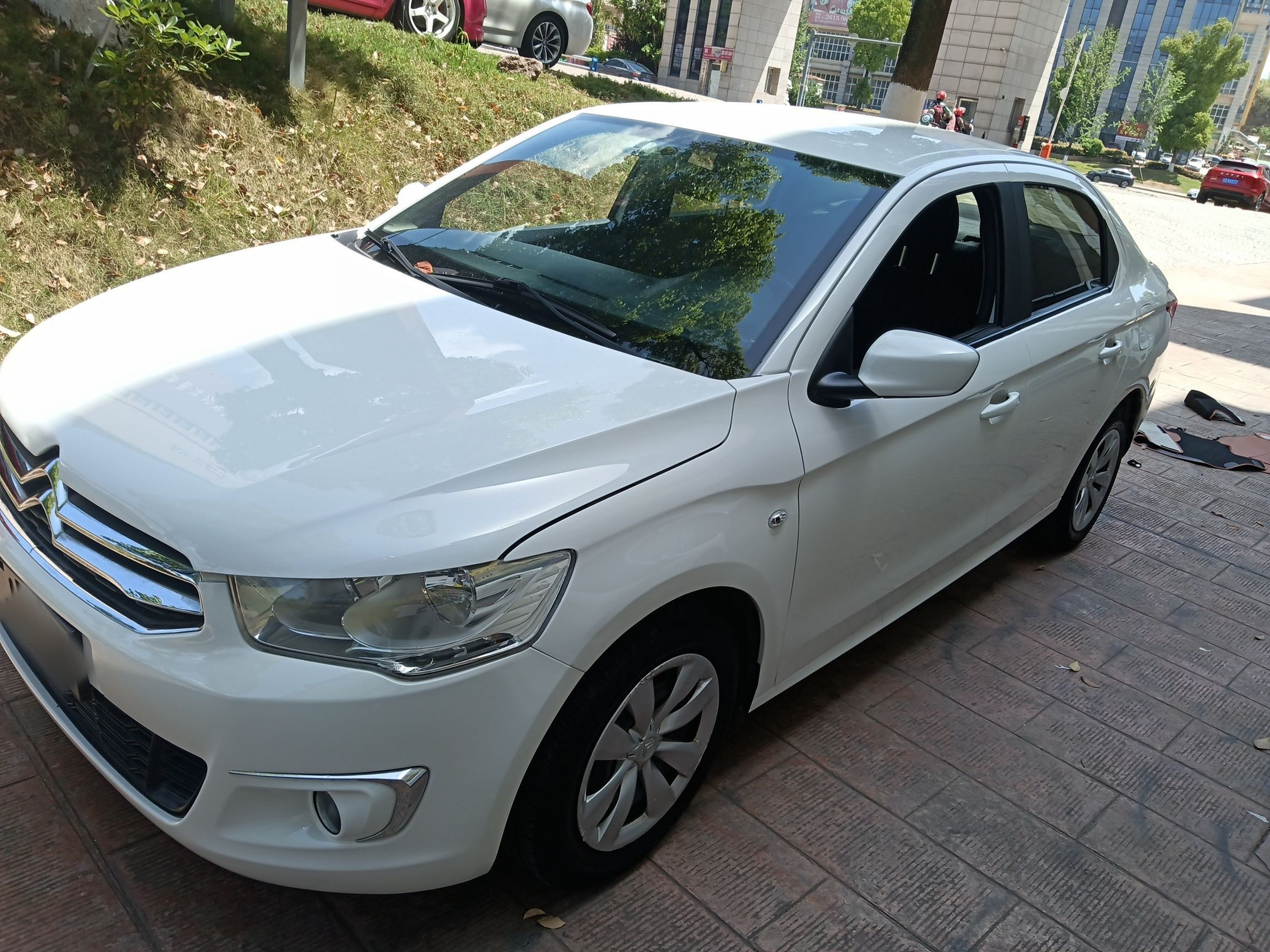 تحت مقدمة السيارة