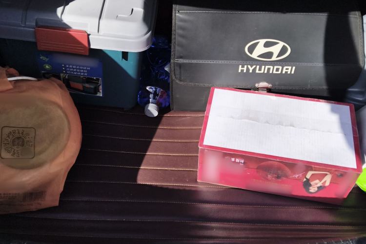 Used Hyundai Verna (older generation) 2010 Sedan 1.4L Automatic Fashionable GT Model Trunk