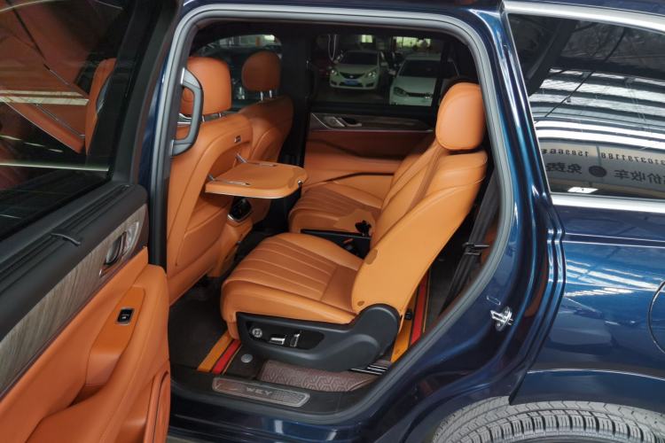 Used Wey Lanshan 2023 Four-Wheel Drive Ultra-Long Range Version Left Rear Seat