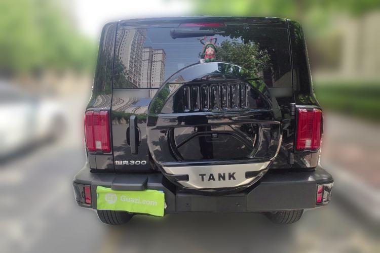 Used Tank 300 2024 2.0T Conqueror
