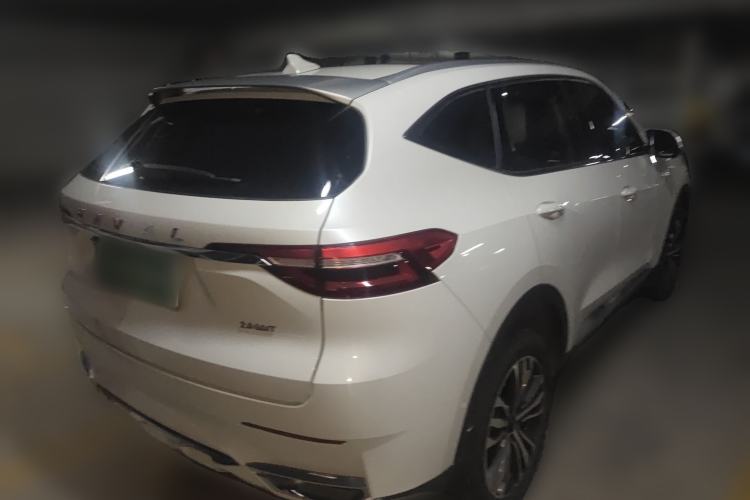 Used Haval F7 2020 2.0T Two-Wheel Drive i-Van