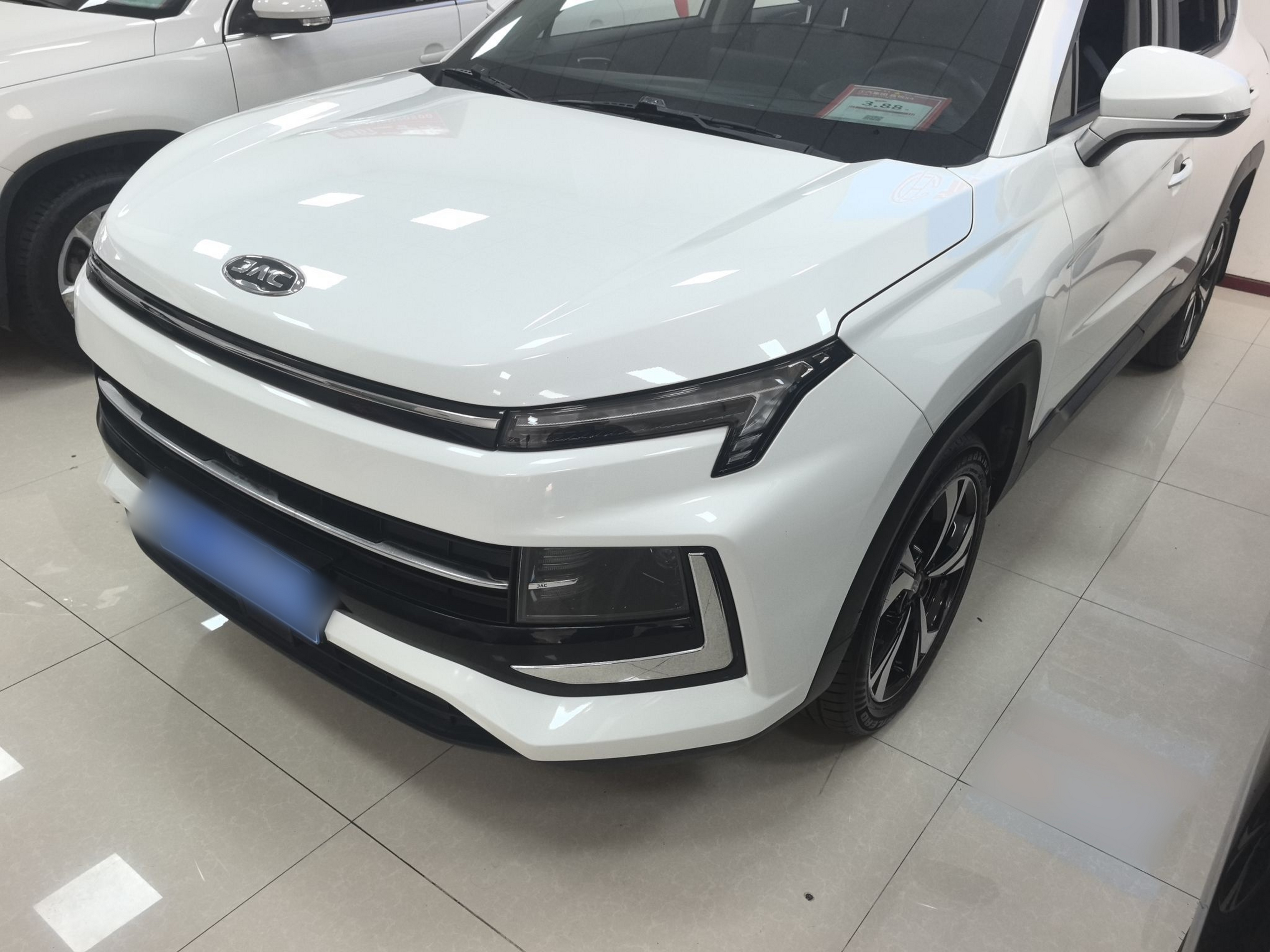 Parte inferior delantera