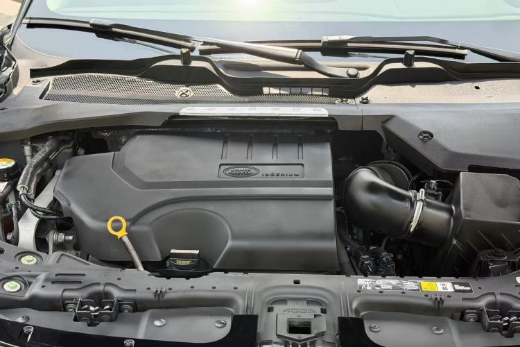 Used Land Rover Range Evoque 2020 249 PS R-DYNAMIC S First-Edition Sport Custom Edition