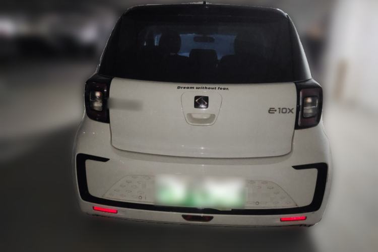 Used SOL E10X 2022 Flower Fairy Design Four-Leaf Clover Rear