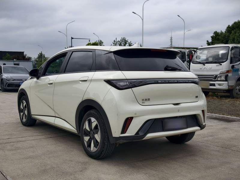 Used BYD Dolphin 2025 420km Fashion Edition — 32
