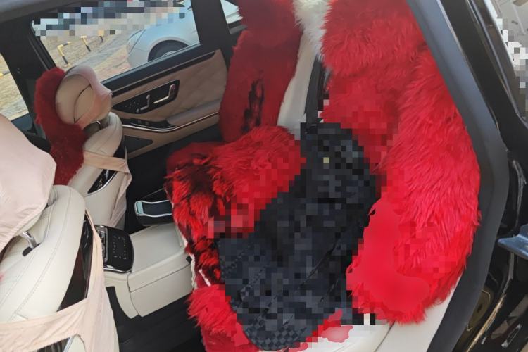 Used Mercedes-Benz S-Class 2010 S 300 L Business Model