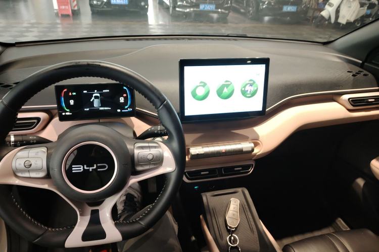 Used BYD Seagull 2024 Honor Edition 305km Freedom Version Center Console