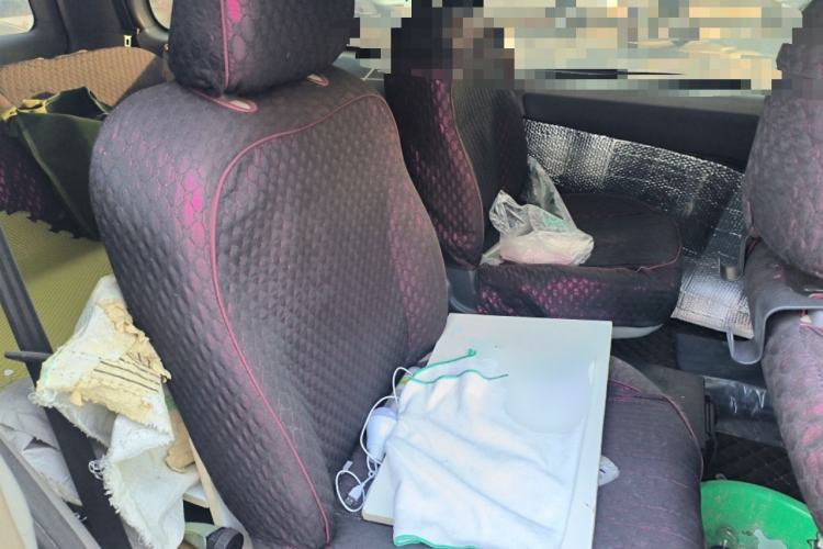 Used FORTHING Lingzhi 
