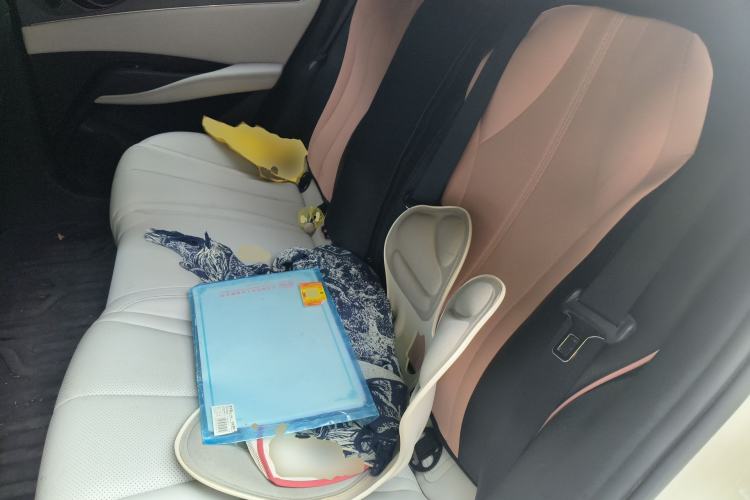 Used BYD Seal 06 New Energy 2024 DM-i 80KM Luxury Model Left Rear Seat