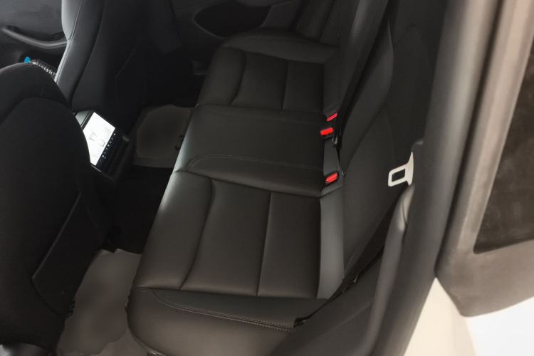 Used Tesla Model 3 2023 Long-Range All-Wheel-Drive Version Left Rear Seat