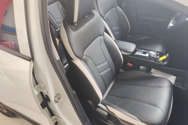 Used Geometry E Firefly 2023 320KM Cute & Handsome Tiger 5 Seats Right Front Seat