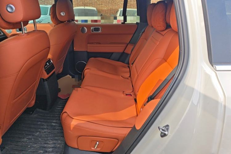 Used Li Auto L6 2024 Max Left Rear Seat