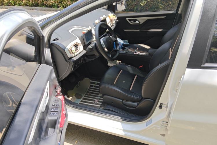 Used SOL E10X 2022 Flower Fairy Design Four-Leaf Clover