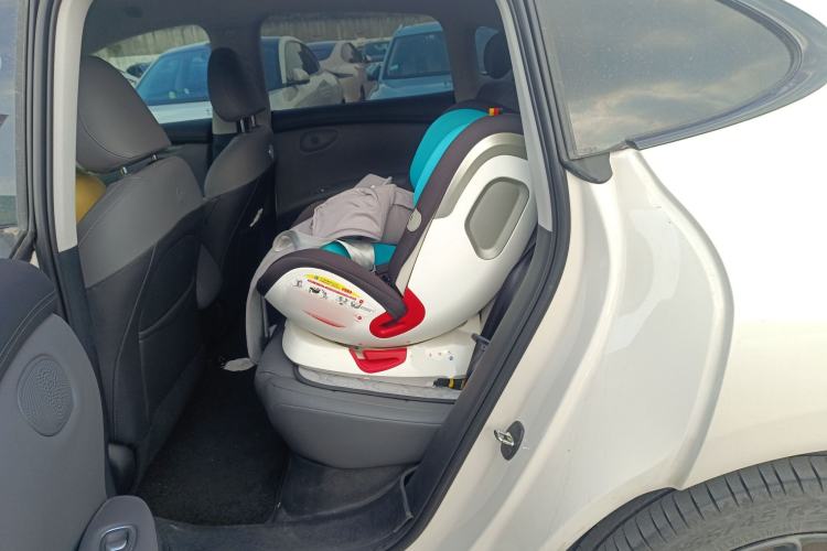 Used IM LS6 2023 Max Long-Range Version