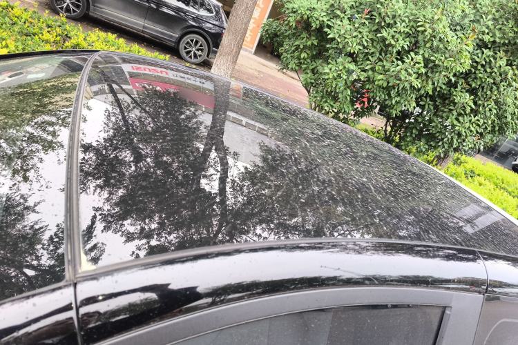 Used Chery Little Ant 2023 251km True Love Edition Lithium Iron Phosphate