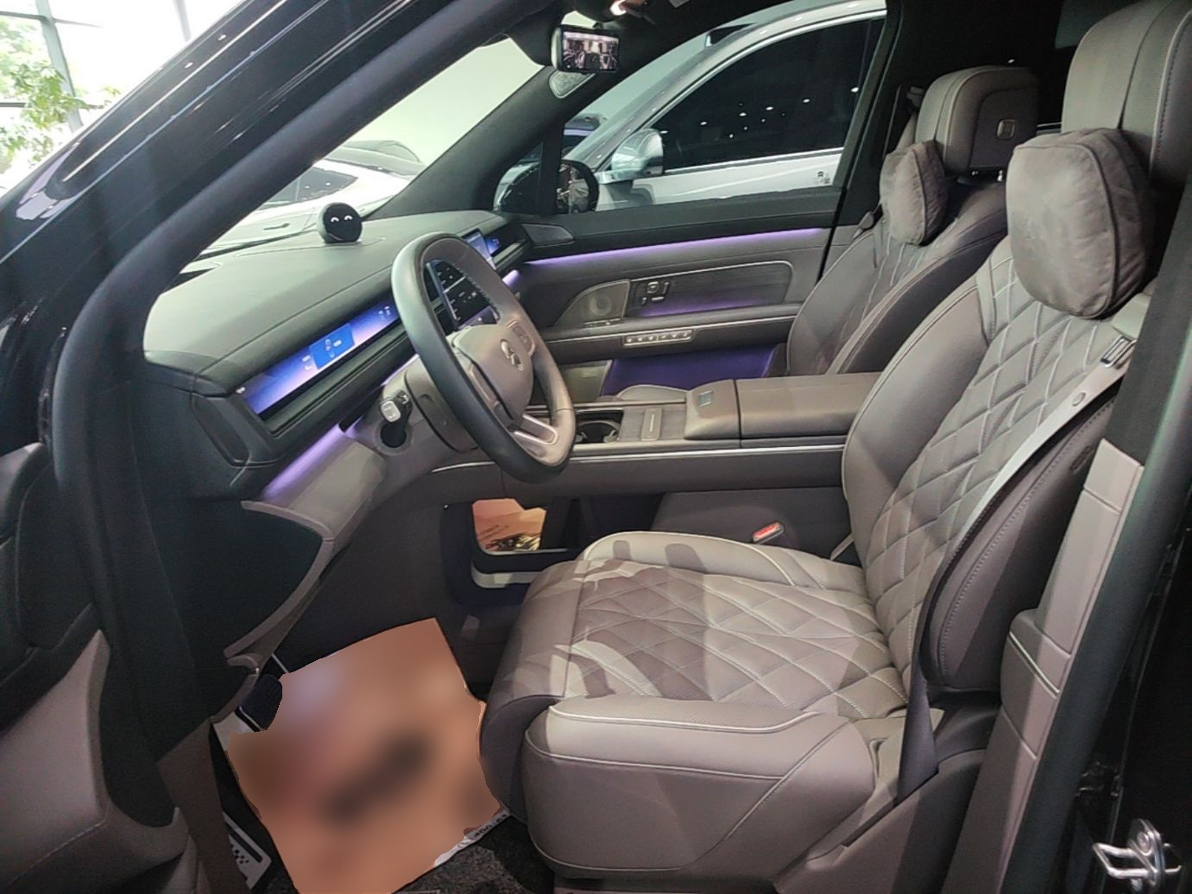 Interior delantero