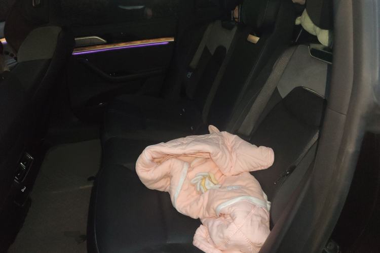 Used NETA S 2024 Range-Extended 1160 Edition Left Rear Seat