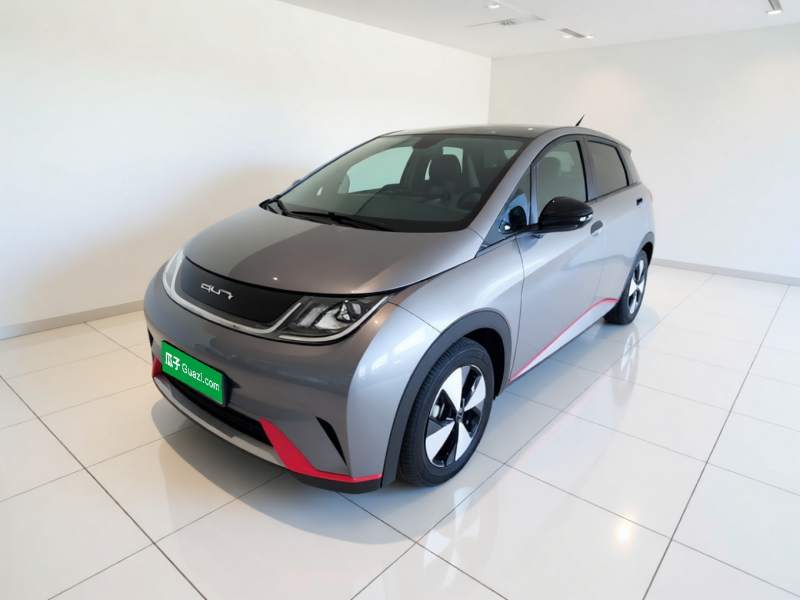 Used BYD Dolphin 2023 420 km Fashion Edition — 1