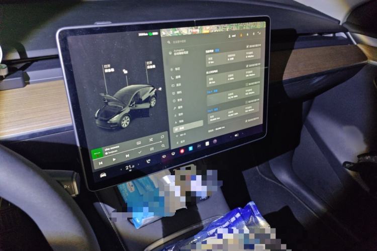 Used Tesla Model Y 2021 Standard Range Rear-Wheel Drive Version
