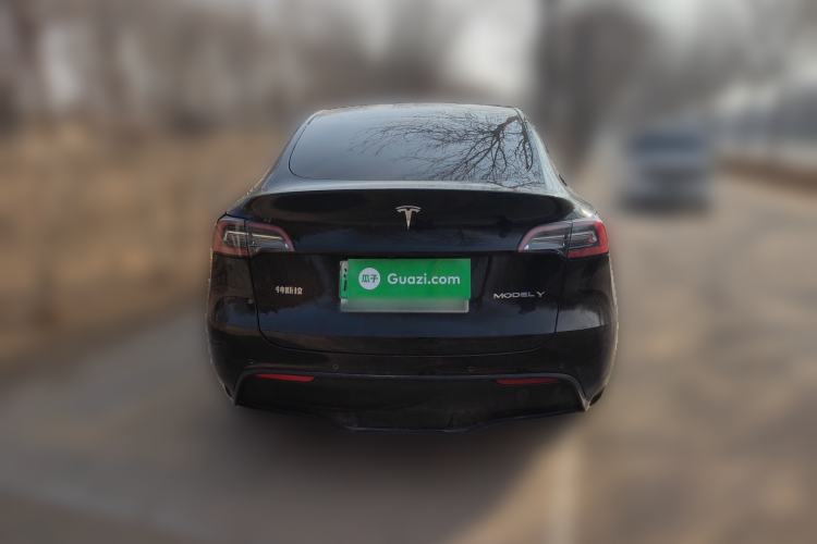 Used Tesla Model Y 2021 Long-Range All-Wheel-Drive Version 3D7
