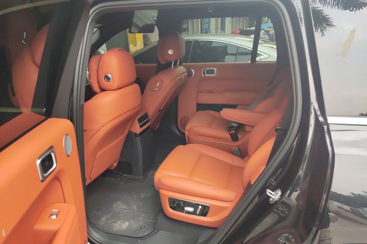 Used Li Auto L9 2022 Max model Left Rear Seat
