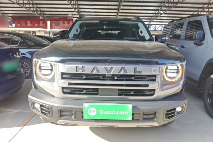 Used Haval DARGO 2024 2.0T DCT Chinese Rural Dog Edition
