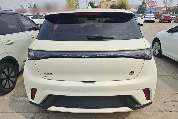 Used BYD Dolphin 2023 420 km Fashion Edition Rear