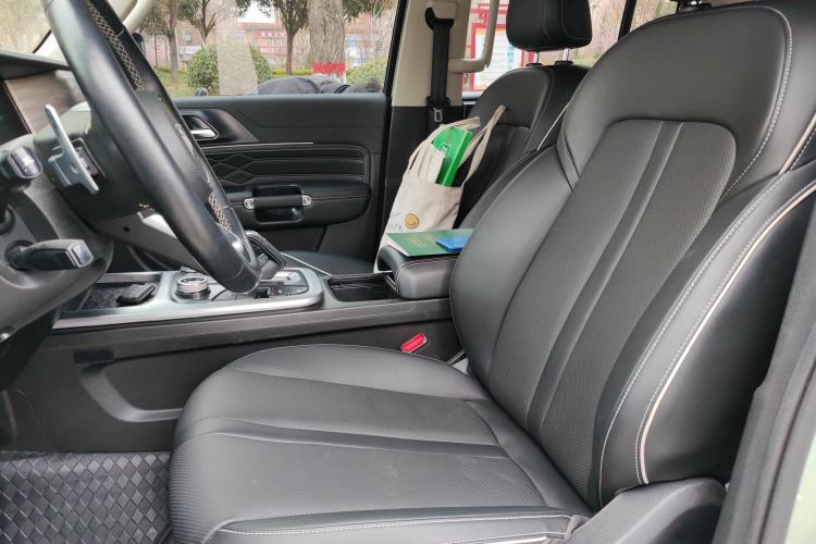 Used Tank 300 2021 2.0T Wind & Forest Iron Rider
