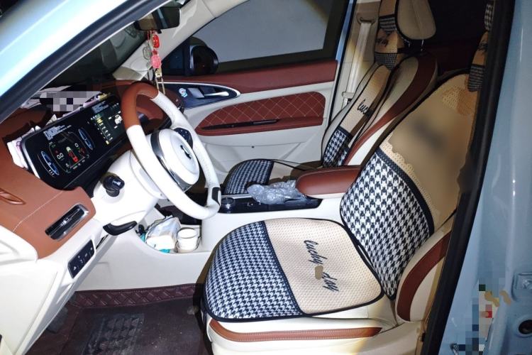 Used ORA Good Cat 2022 Morandi Edition 400km Standard Range Premium Version Lithium-Ion Battery Left Front Seat