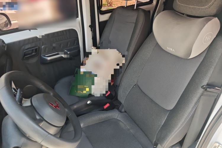 Used Wuling Zhiguang New Energy 2025 Standard Model Left Front Seat