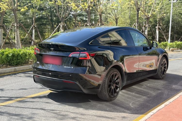 Used Tesla Model Y 2021 Long-Range All-Wheel-Drive Version