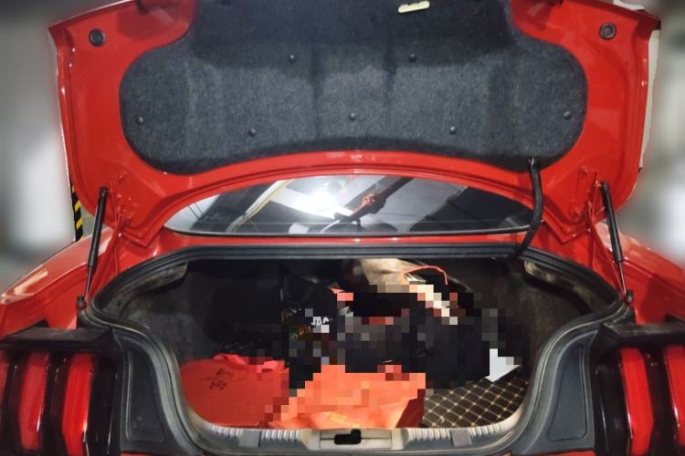 Used Ford Mustang 2019 2.3T Automatic Hardtop Base Version U.S. Specification Trunk