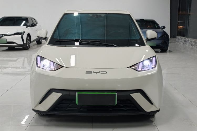 Used BYD Seagull 2023 Active Version
