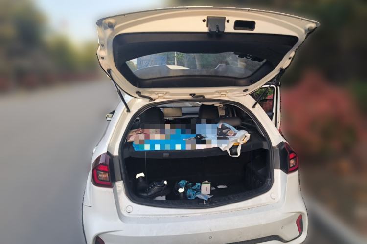 Used Geely Auto Vision X3 2021 PRO 1.5L CVT Deluxe Model
