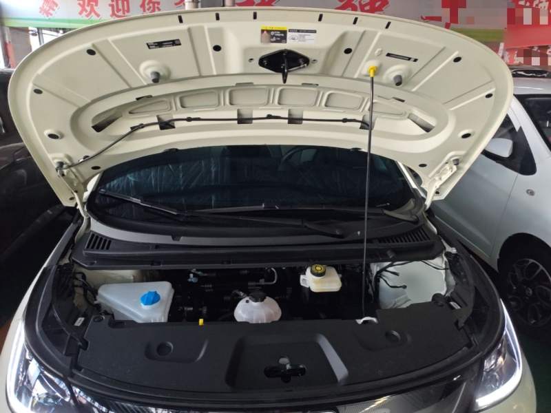 Used BYD Dolphin 2025 Intelligent Driving Version 410 km Fashion Edition — 19