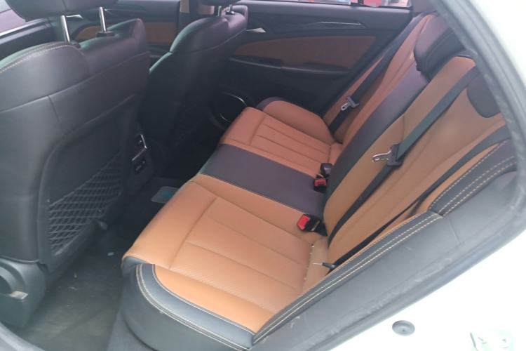 Used BYD Qin New Energy 2017 1.5T Luxury Model Left Rear Seat