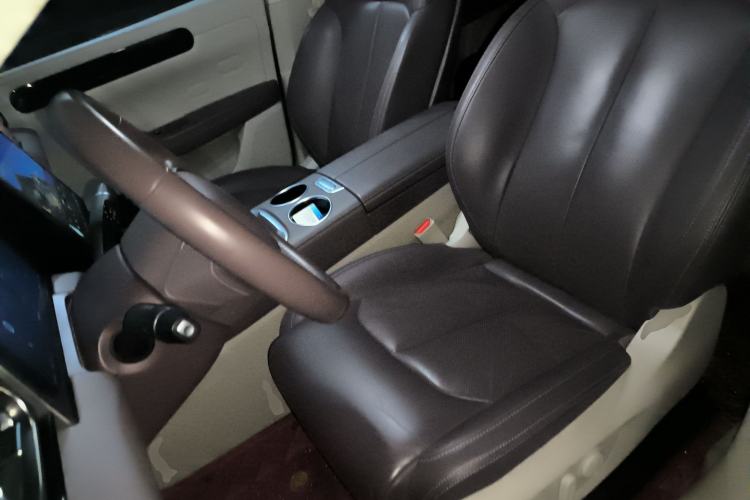 Used Leapmotor C11 2023 Pure Electric 500 Comfort Edition
