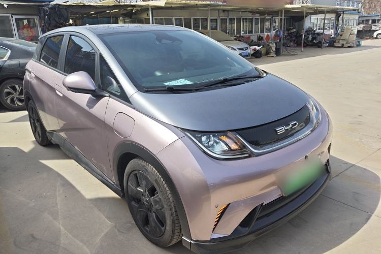 Used BYD Dolphin 2021 401km Knight Edition