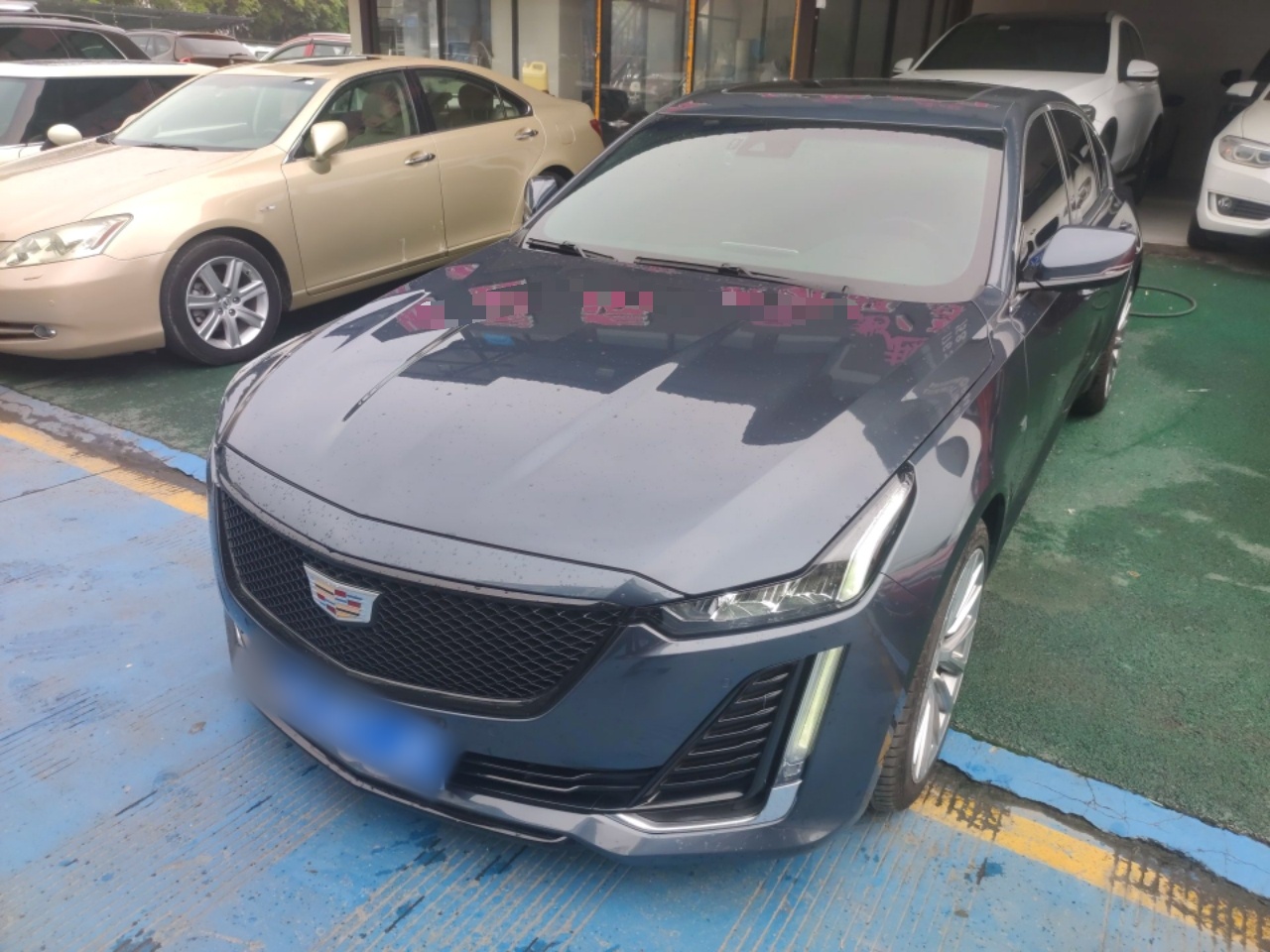 Parte inferior delantera