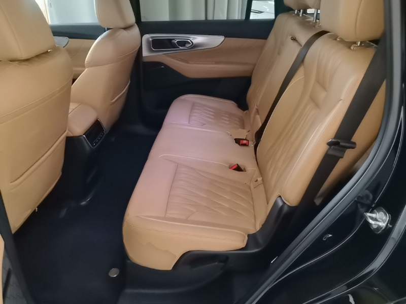 Used GAC Trumpchi GS8 2024 Linghang Series 2.0 TGDI Two-Wheel Drive Luxury Smart Connectivity Version — 16