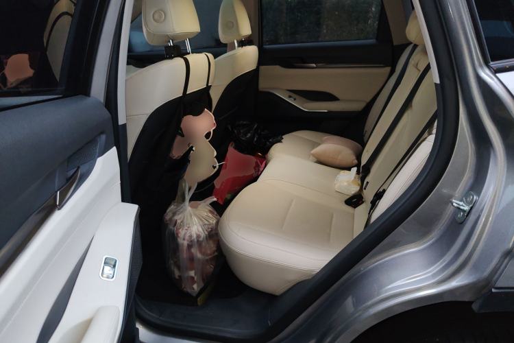 Used Haval H6 2024 2.0T Two-Wheel Drive Max
