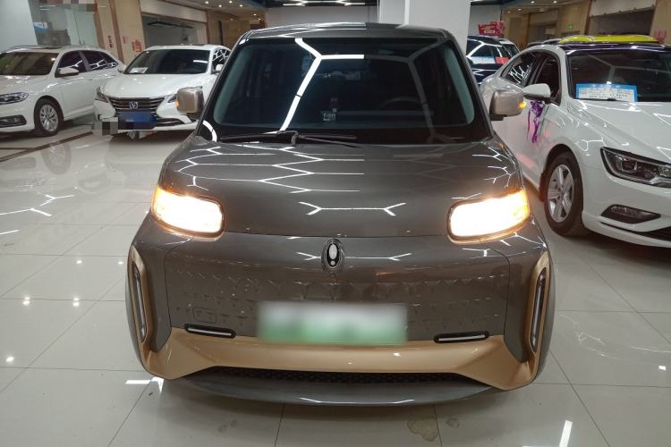 Used ORA White Cat 2022 Xiaoyue Mao Edition 360 km Luxury Model Lithium NMC Front